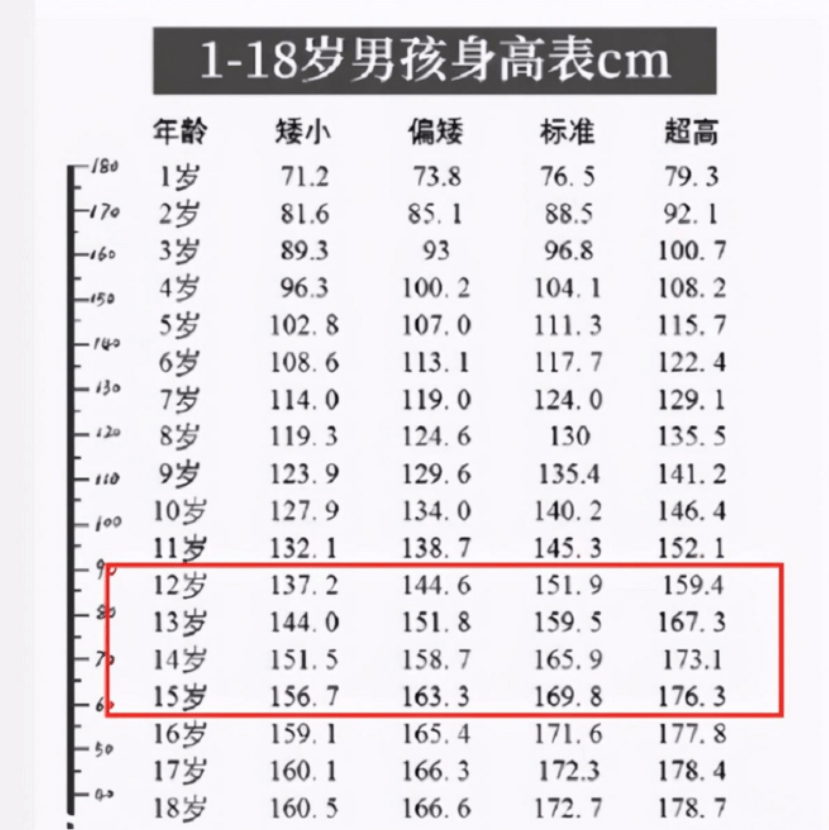 14岁模特标准身高体重图片