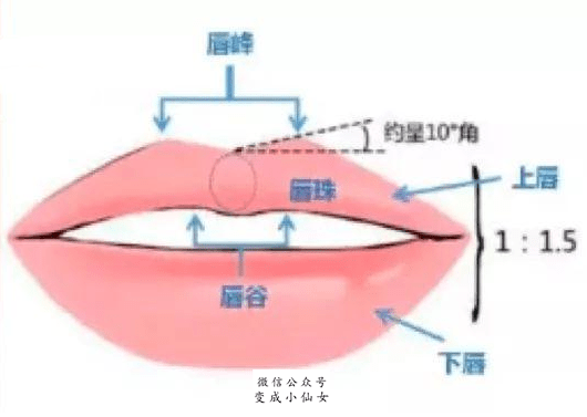 08a611f40b2d4b549edd16dfa6e54ad8.png