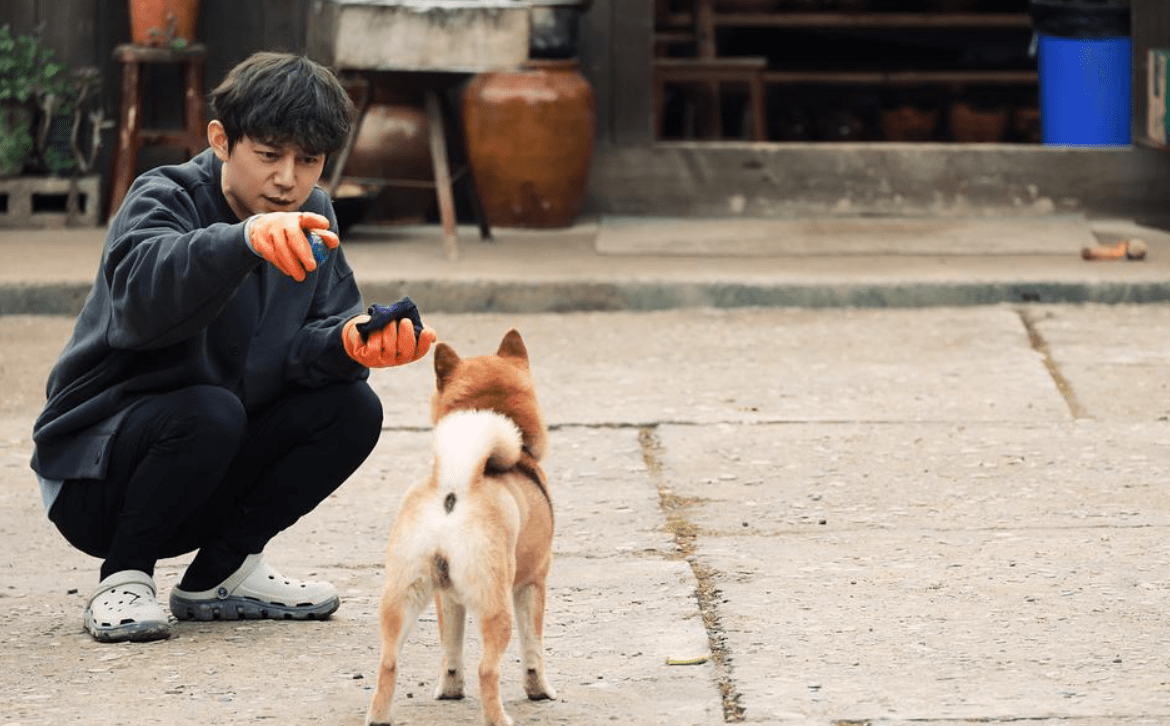 向往的生活5随便一帧都赏心悦目哪怕是小h仰着头向黄磊要食吃