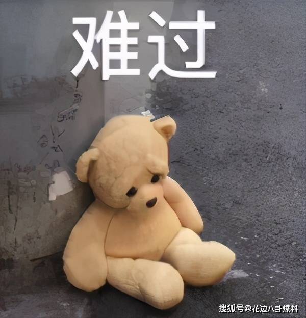 事情是这样的,当初公布孩子存在的消息以后,套哥和驴脸妹的事业明显