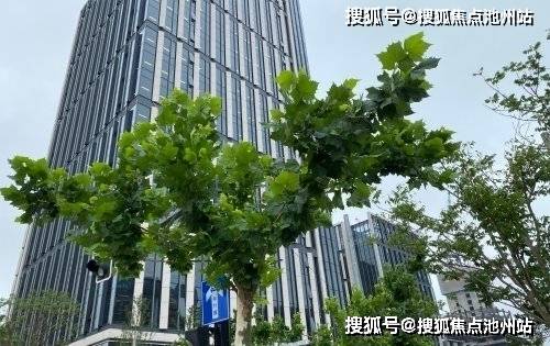 上海市黄浦区gdp2021_上海11个区房价 土豪静安黄浦破10万(3)