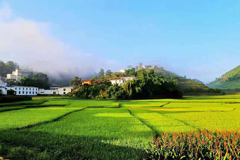 云南昌宁大田坝:聆听妙韵涤荡灵魂