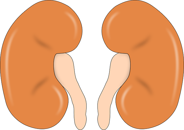 52269f45d1984bbb9f7f4f3ae5ac5180.png