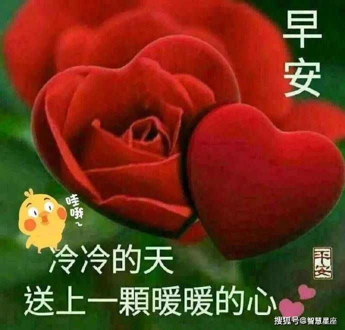 周三清晨早上好动态鲜花图片带字,新的一天精美早上好祝福语句