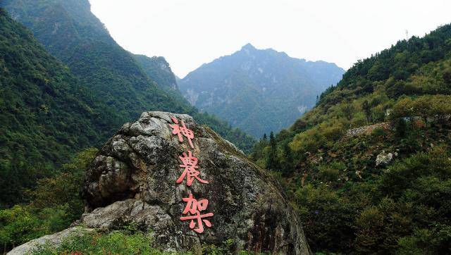 原創神農架深處為何被列為禁區有一現象很奇怪科學家也難以解答