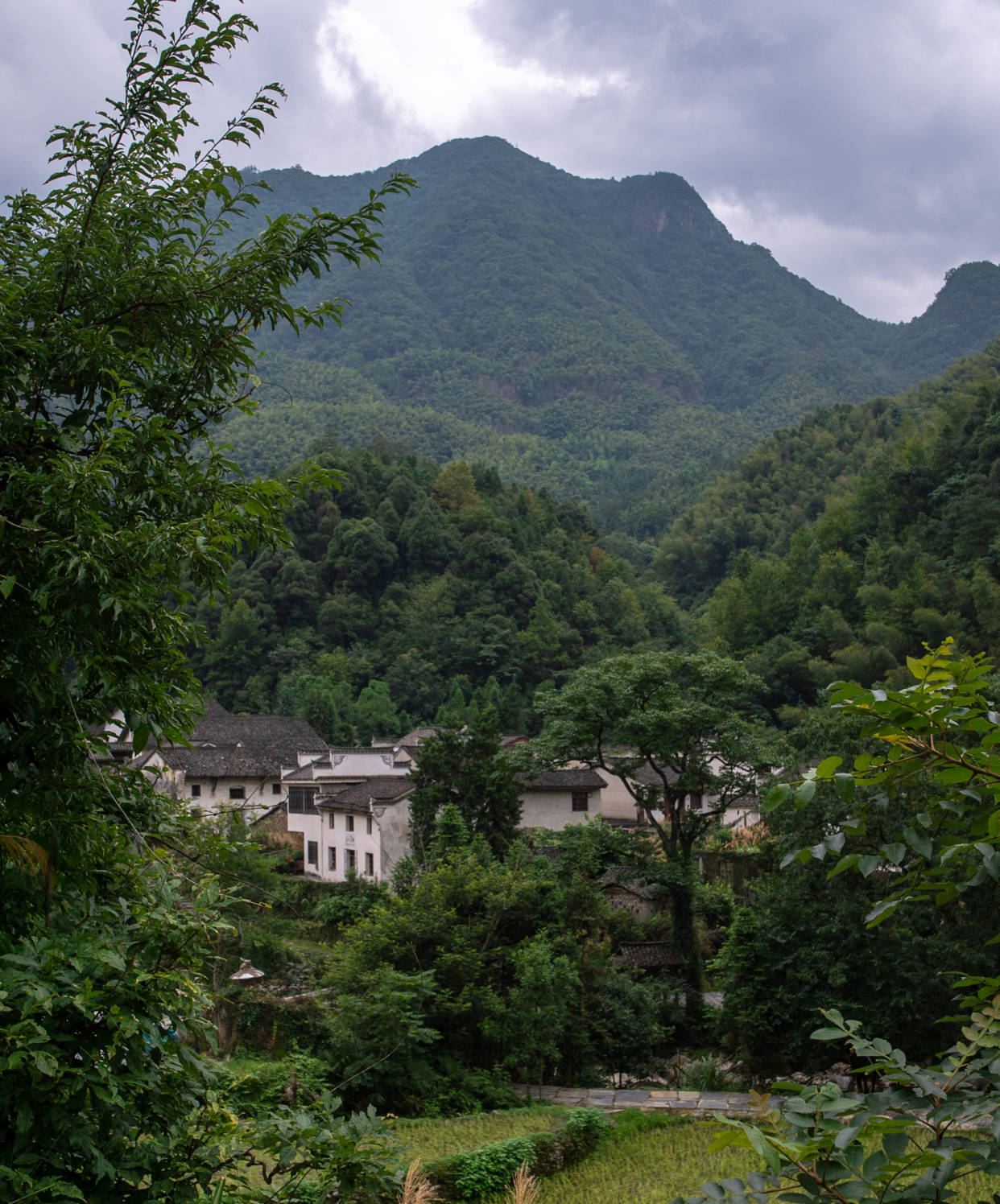 原创安徽被遗忘的古村落藏在石台县大山中美景不输世外桃源