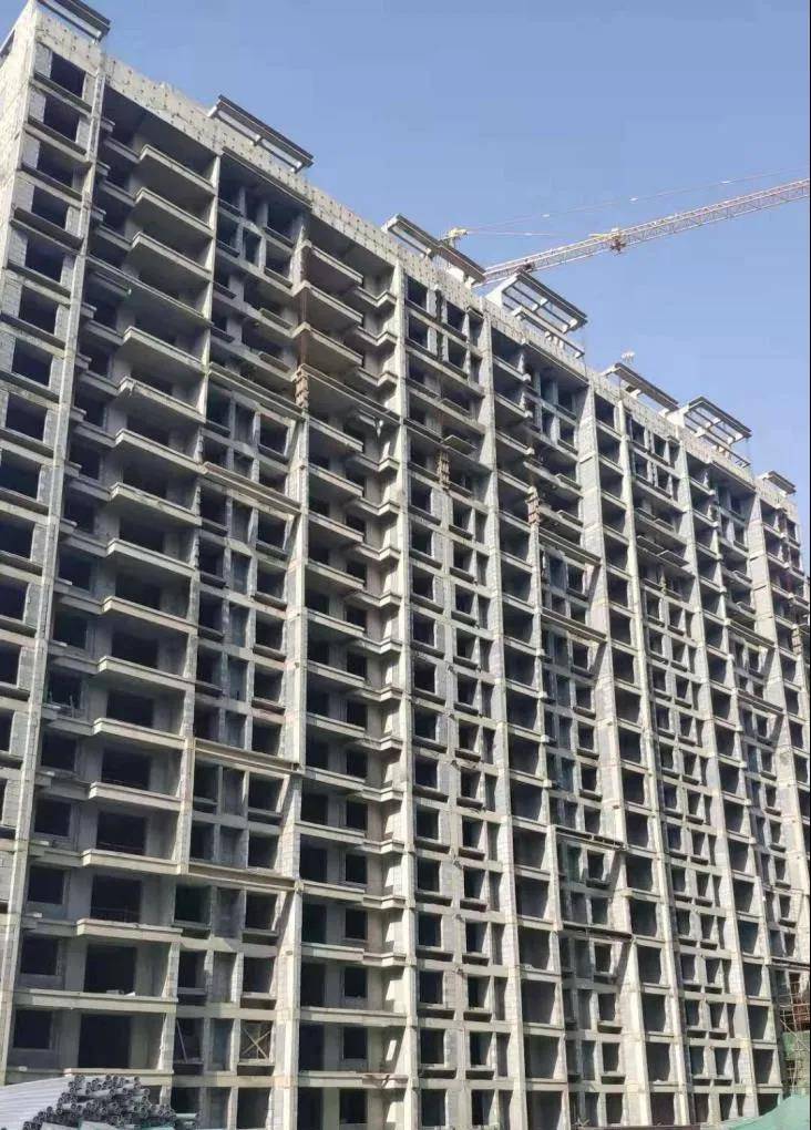 时光不负匠心倾注建业森林半岛上院最新工程进度