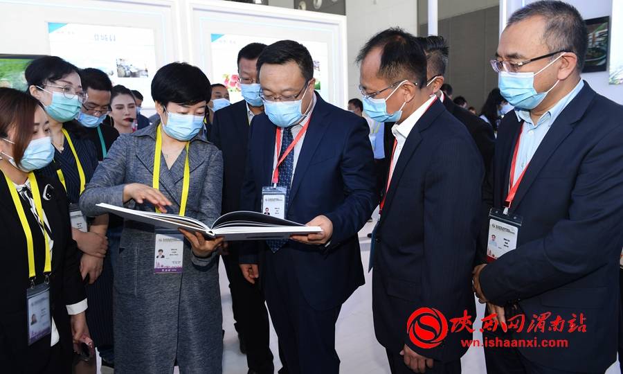 渭南市委书记市长王琳视察第五届丝博会渭南展馆组图