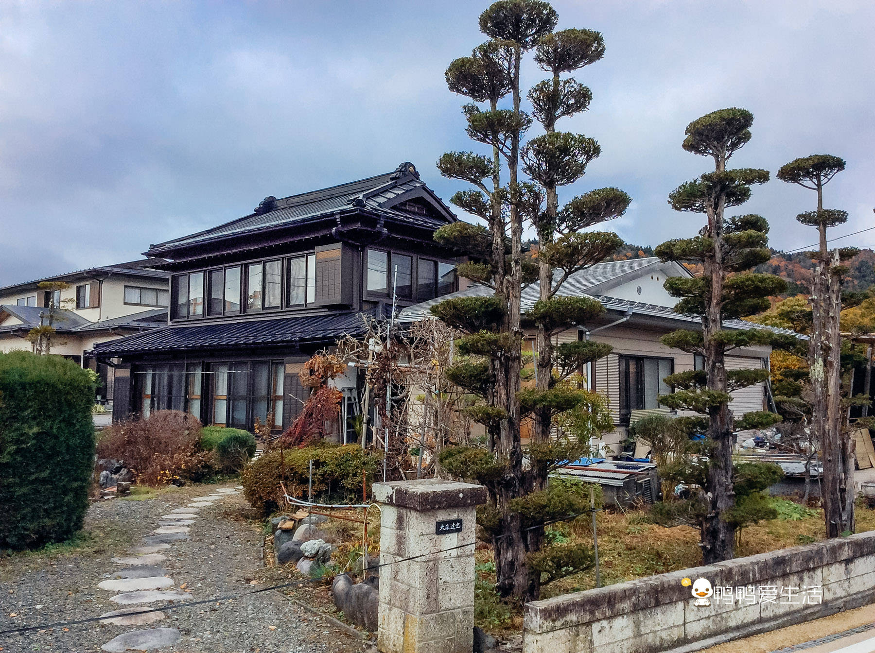 日本 小九寨 藏在富士山下 5月起繁花盛开 还能把泉水带回家 山中湖
