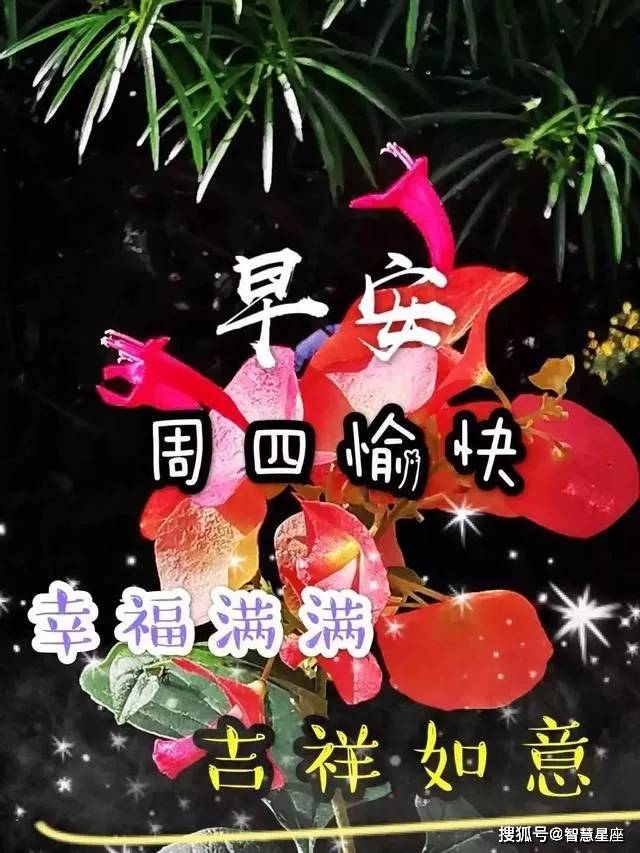 週四最美鮮花早上好問候動畫表情包好看的美女早安問候祝福語圖片帶字