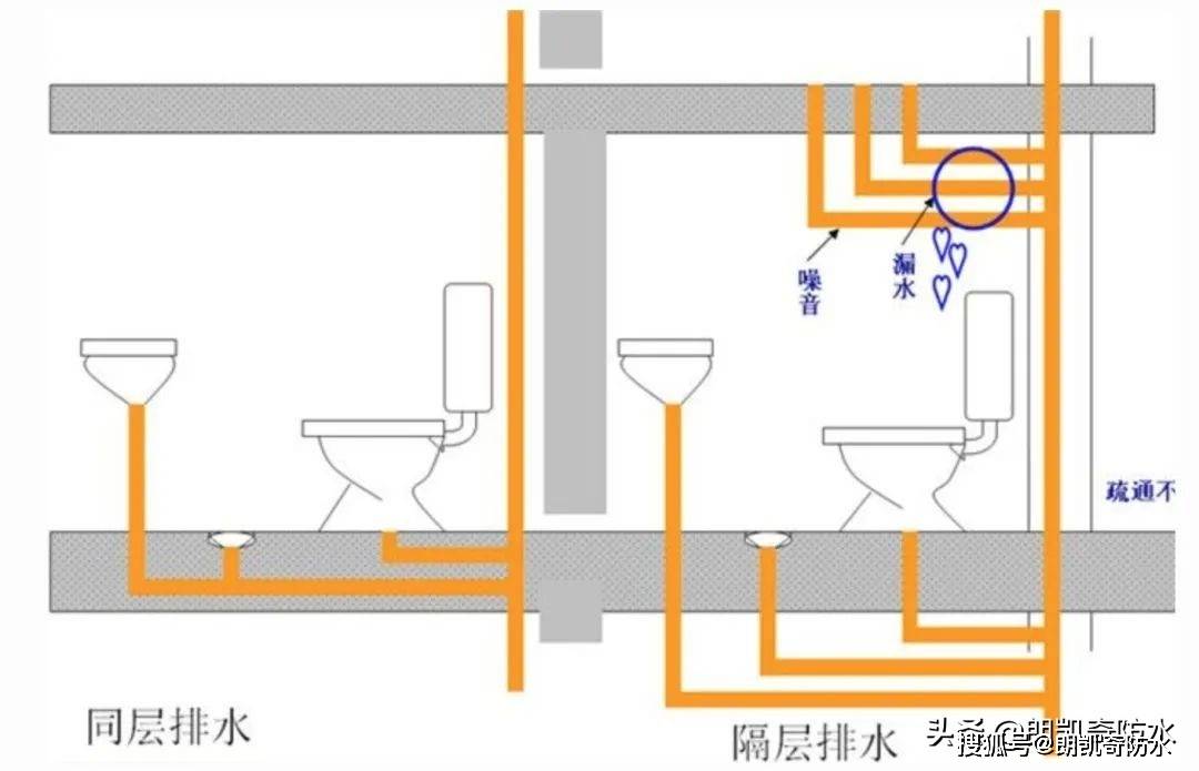 同层排水管安装图图片