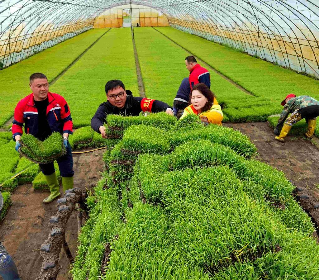 移栽与记者同行的分公司总经理田旭江说:"9个一是我们分公司学党史