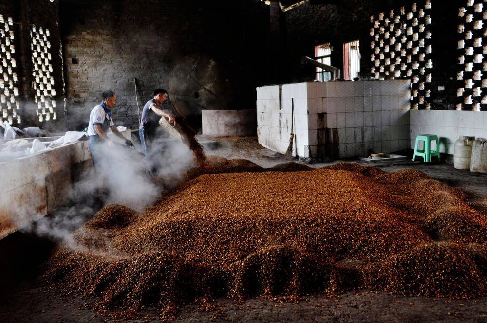 酿酒常识-关于酿酒出酒率