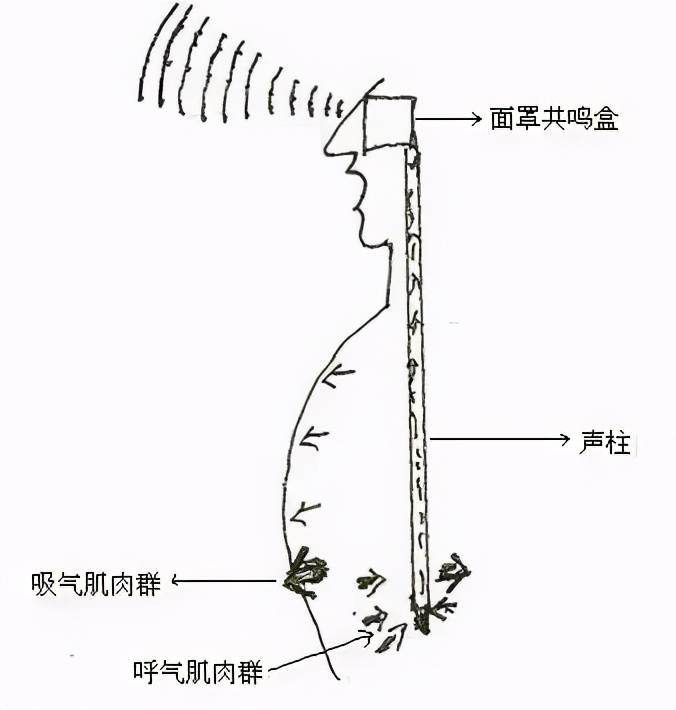 唱歌声音通道图解图片