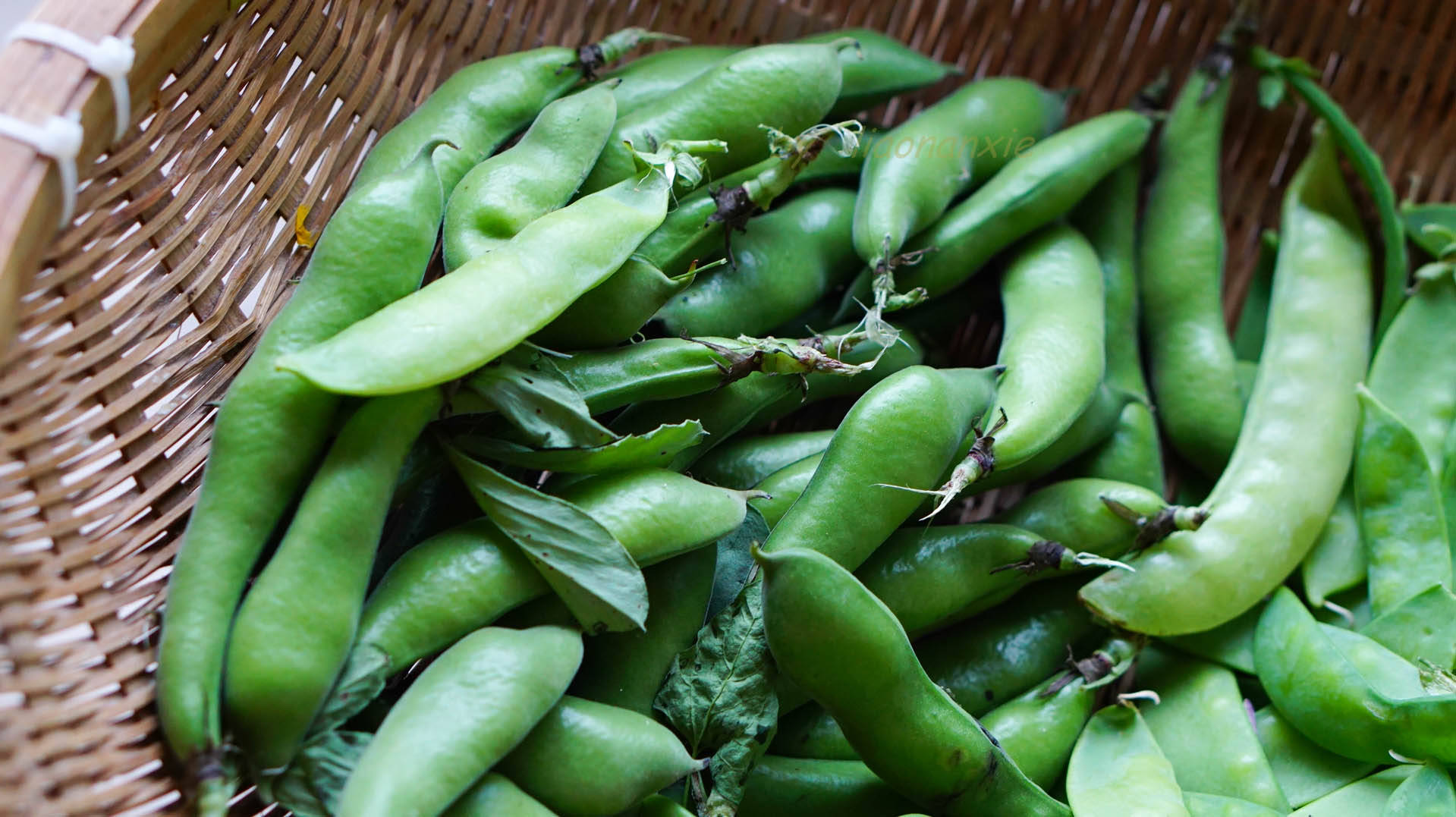 葱油蚕豆蚕豆角如果一次买多了,把蚕豆子剥出来,焯下水之后冷冻保存