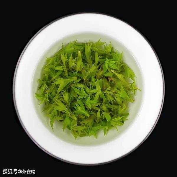 最苦降火茶叶排行榜