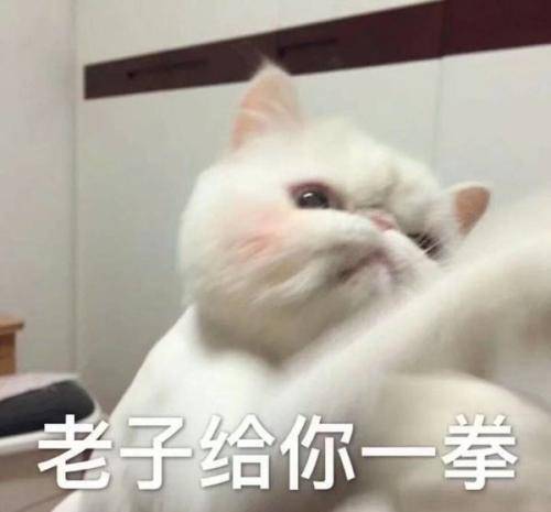 5fff6515305b4ec6891a84024302da85.jpeg
