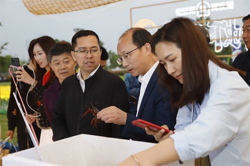 洪湖清水龙虾节洪湖市携手聚划算以节为媒撬动龙虾大产业