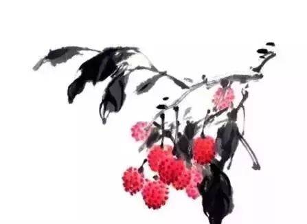 详细的荔枝写意画法，一学就会_步骤