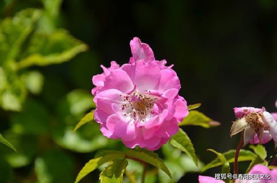 感触颇深的意思，形容感触颇深的意思