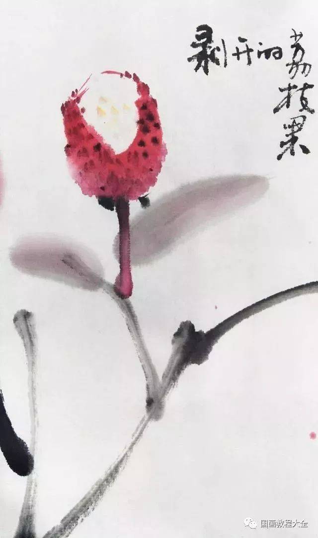 详细的荔枝写意画法，一学就会_步骤