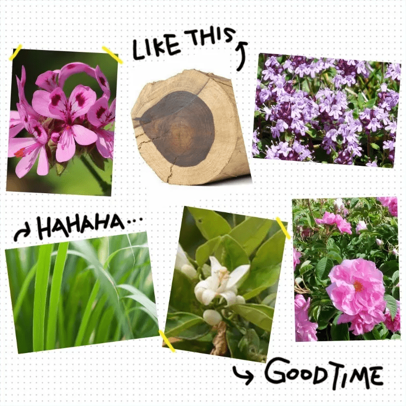 980c7e8cd8984bfabe2f0c3db84031da.png