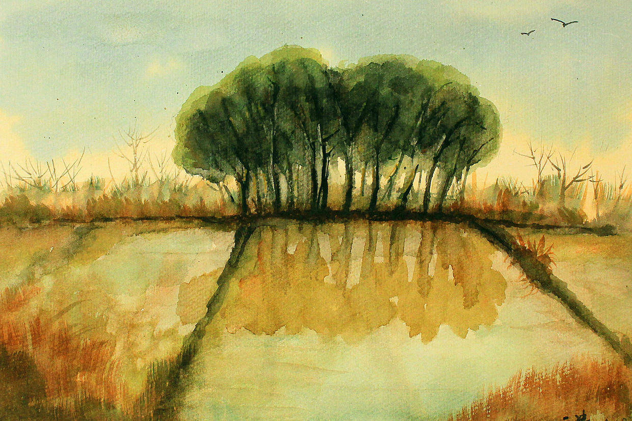 艺展中国书画艺术名家邀请展许云涛水彩画作品专辑