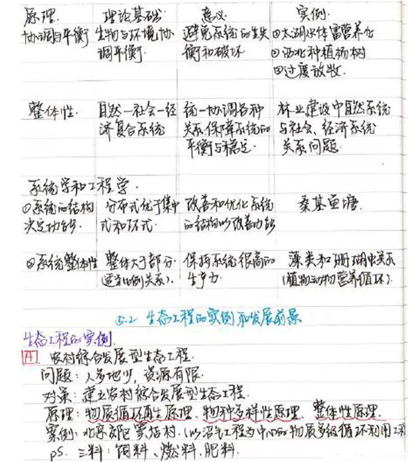 b8940eaf3192460985ff1cbaa96e6df2.jpeg