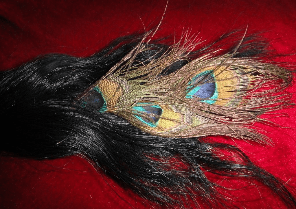 花翎分为3个等级:单眼花翎,双眼花翎,三眼花翎.