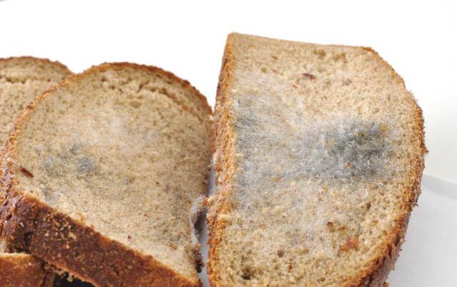 如何杀黄曲霉菌 f13b0f80bd634976833fee5717f7b990.jpeg