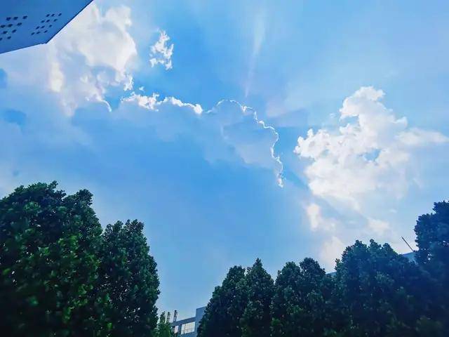 989471bf4ef541cea48f5d4a6ab6d283.jpeg