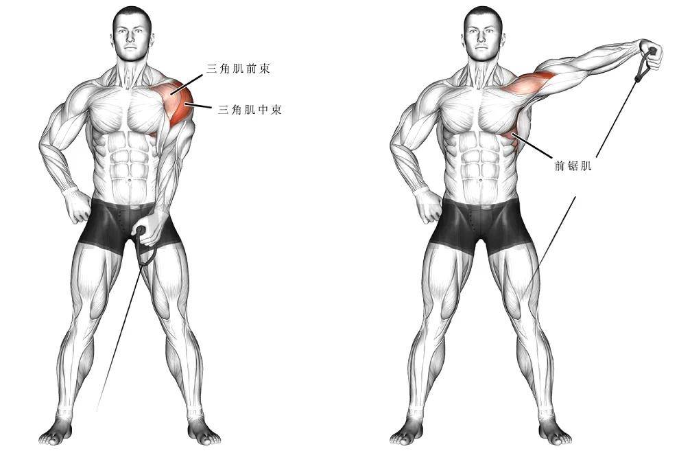 【耀61健身】那些经典的肩部训练动作,帮你打造更饱满的三角肌!