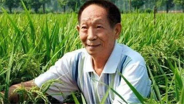 早苗最后死了吗 c7cfebb1c1fa4781b977ea8fab763cd3.jpeg