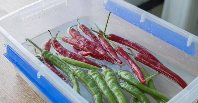 怎样腌辣椒好吃不烂 2208f155f18146829bd14b502013c8cc.jpeg