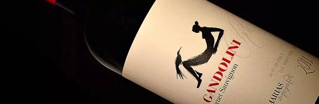 Wines|Wines of Chile明星阵容亮相Wine to Asia 2021,呈现智利魅力!