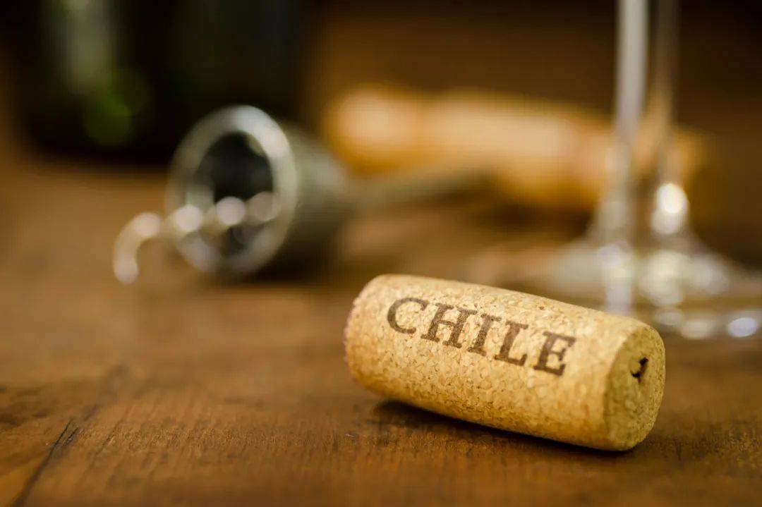 Wines|Wines of Chile明星阵容亮相Wine to Asia 2021,呈现智利魅力!