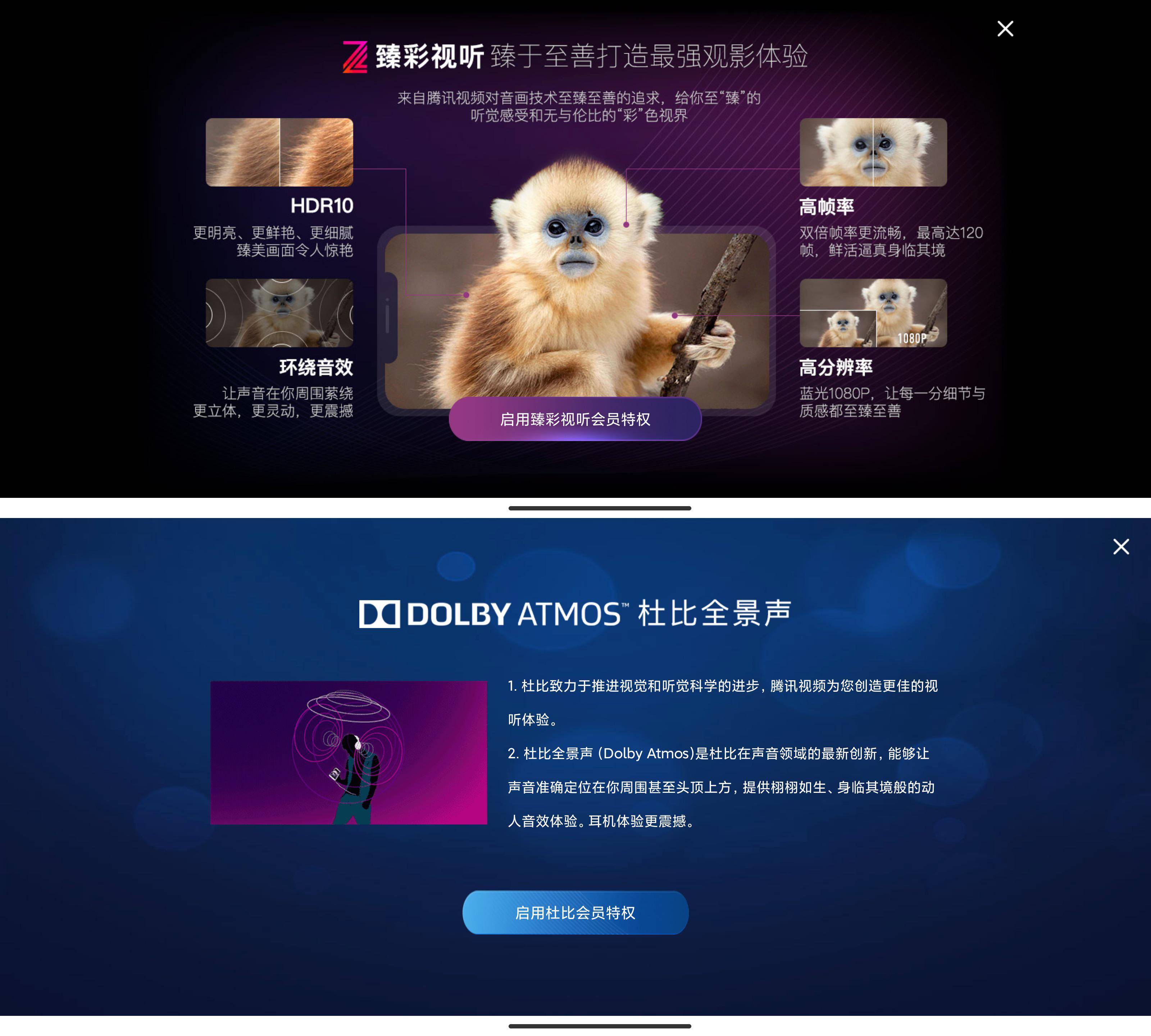 Victus|堆料满满，超大底主摄，贵1000元的小米11 Pro，得不值得买？