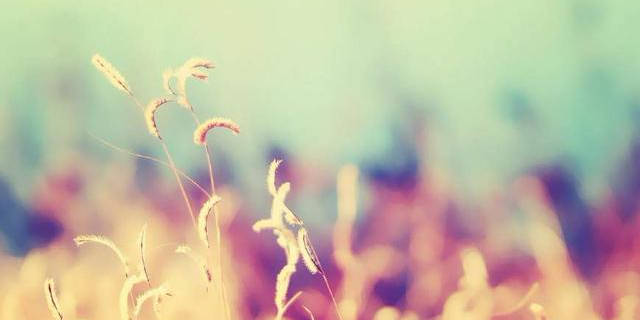 怎么样才能让自己不再心动 0d94da22d3044b64a348d2e5cbe405bf.jpeg