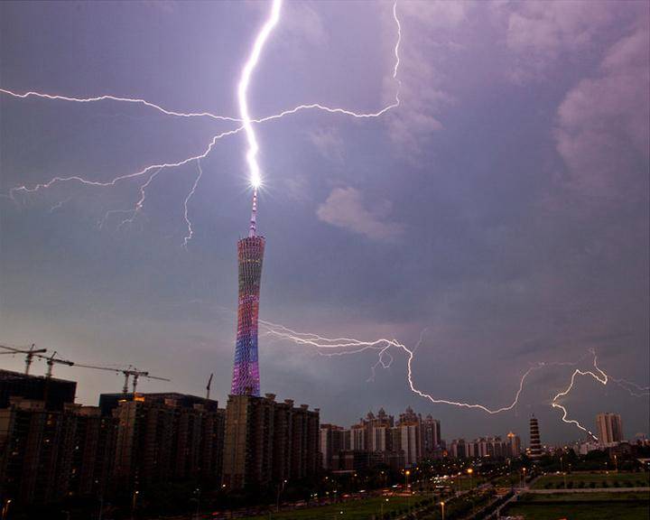 海南一声惊雷42头牛毙命放牧人却没事