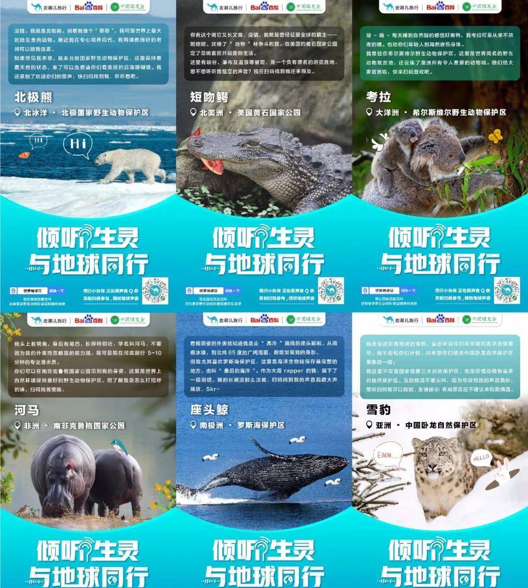 去哪儿网招聘_去哪儿网贵阳站免费招募本地特色合作商家和招聘(3)