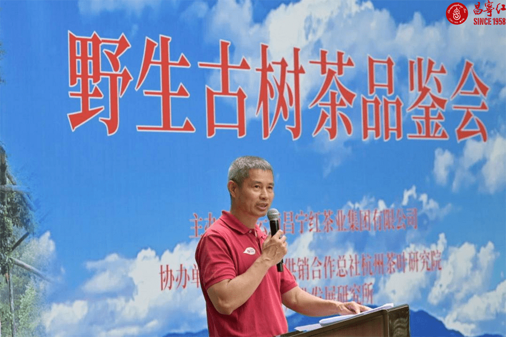 昌宁红红茶集团董事长图片