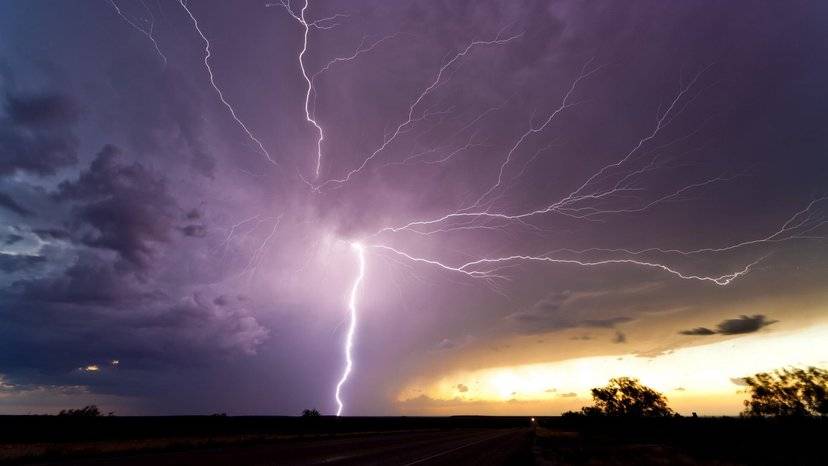 一个响雷劈死42头牛海南一牛群遭雷击牛群中的人为何没事