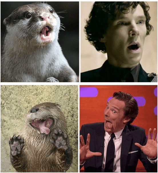 原创与绑匪聊天只用20分钟走红夏洛克到奇异博士卷福的成名往事