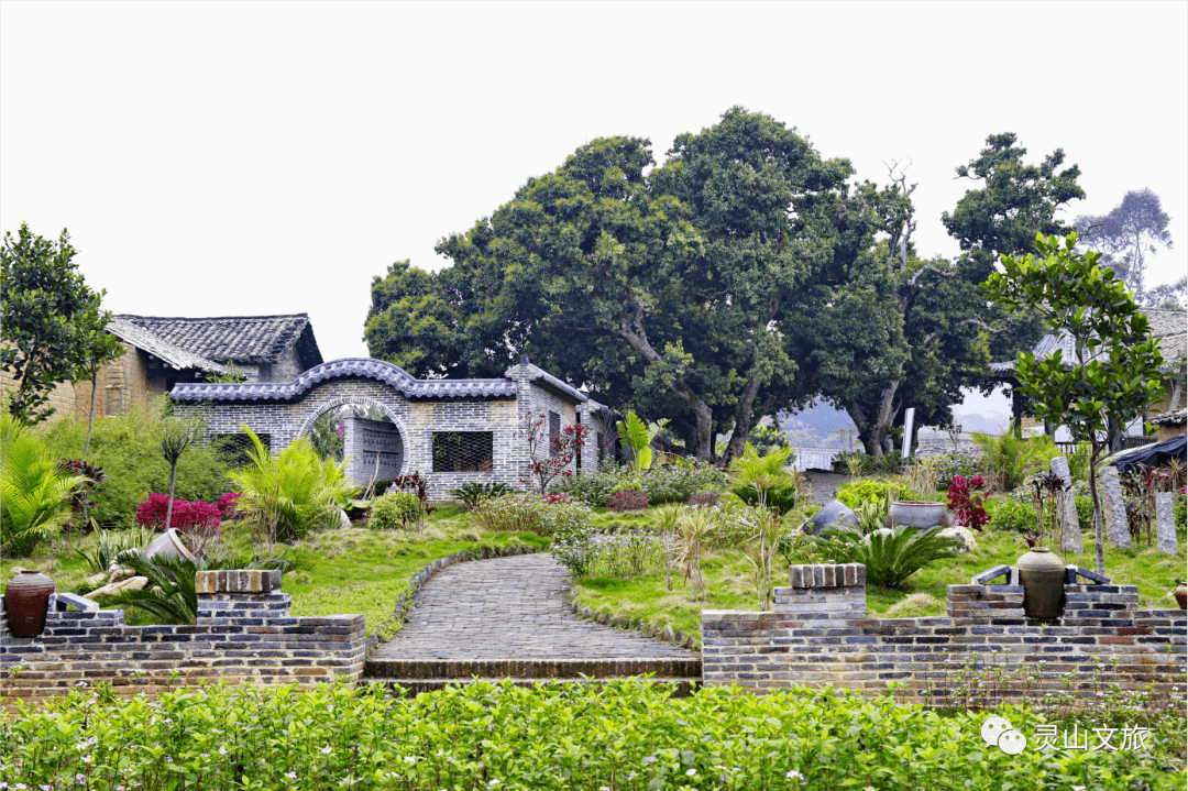 6月,我在中国荔枝之乡等你_灵山