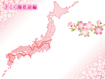 日语中的「桜前線」「ホタル前線」是什么意思？_樱花
