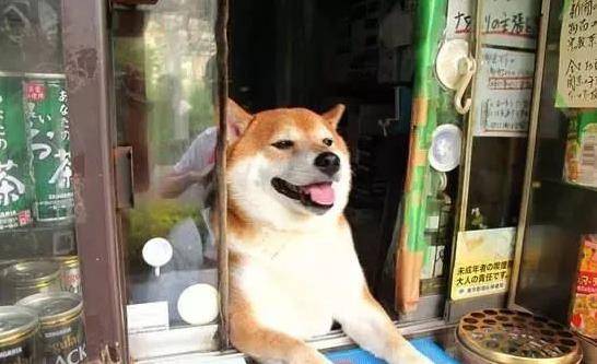fc857c733ead453e87d298bd69492d0d.jpeg