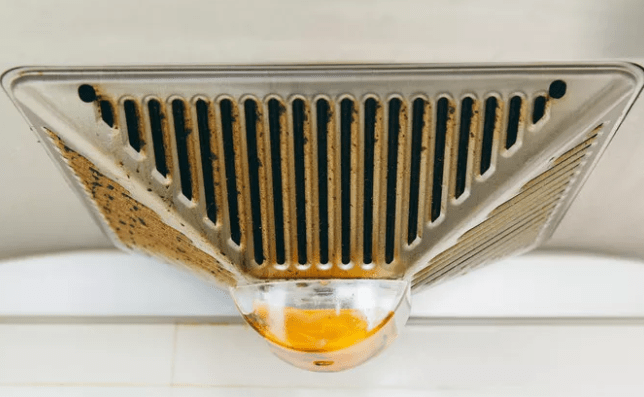 如何简单快速的清洗凉席 2304f8f11c78451c8725ff4297f6e9b2.png