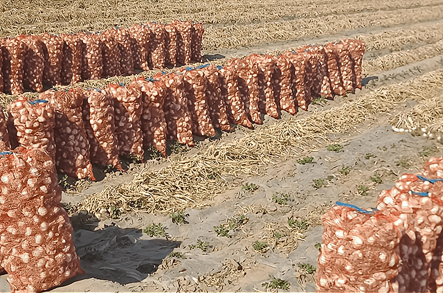 实时股价显示的是卖一还是买一 2ca8194133ee412c82b110d816ea5942.png