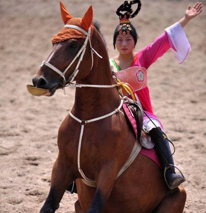 唐朝舞马马匹来源于战争和朝贡马匹管理机构繁复细杂