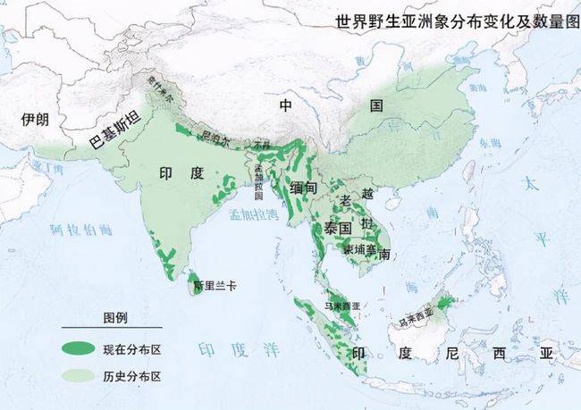 云南15头野生亚洲象罕见北迁,是生态变好,还是全球变暖的征兆?